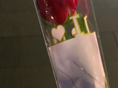 -haxnbauer海森堡德国餐厅(深圳coco店)