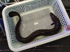 -琥珀川糟粕醋火锅(慈云寺店)
