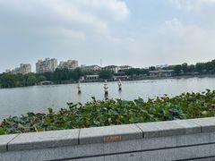 -葛仙湖公园