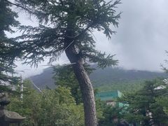 -富士山吉田線五合目
