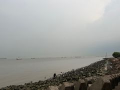 -上海滨江森林公园