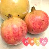 秋日瓜果飘香，爱吃水果的宝宝们有福啦[调皮]