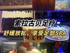 -索拉古贝(义乌北苑店)