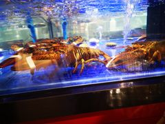 水产区-盒马鲜生(新都心店)