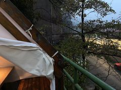 -金鱼妈妈 山野·食趣(荫山街店)
