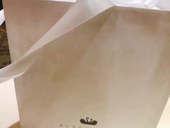 -BLACKSWAN黑天鹅(环球店)