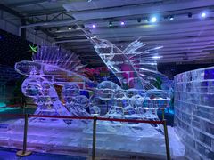 -宁波冰雪大世界(北仑区)