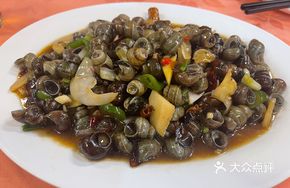 Stone Snail Chicken