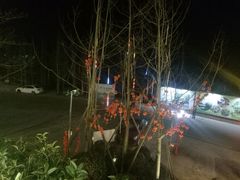 -楠柏弯休闲山庄(梨花溪店)