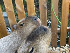 -郑州银基黄帝宫御温泉