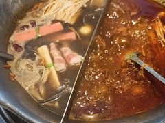 -渝大龙重庆火锅(温泉月亮湾店)