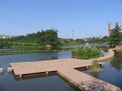 -重庆彩云湖湿地公园