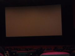 放映厅-AMG海上明珠影城(上海环球港RealDCinema店)