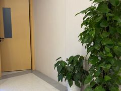 -上海大学附属上海和平眼科医院