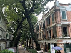 -华林禅寺