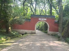 -灵谷景区