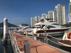 -三亚游船旅游中心(三亚鹿回头游艇游船公共码头店)