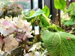 -懒鱼时光馆(沙坪坝店)