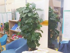 -GogoReading少儿英语分级阅读(双井中心店)
