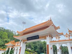 -深圳仙湖植物园