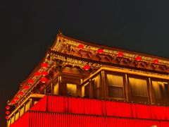 -大青山野生动物园