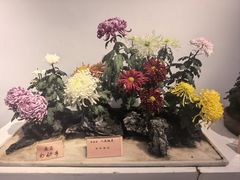 -汇龙潭