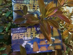 -陕拾叁(袁家村店)