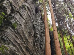 -梭布垭石林景区