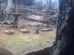 -卡塞拉自然公园
