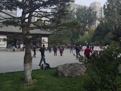 -莲湖公园