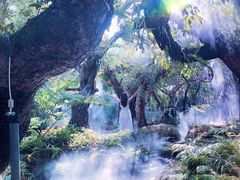 -Chom Cafe and Restaurant