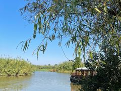 -宁波杭州湾国家湿地公园