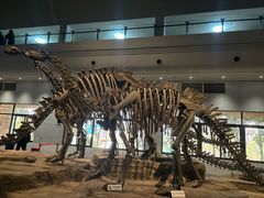 -自贡恐龙博物馆