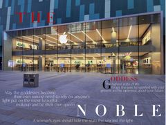 -Apple零售店(中街大悦城店)