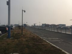 -皮口港