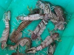 -花乐餐厅(涠洲岛店)