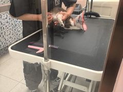 -FAELING PETS美天灵宠物(富力广场店)