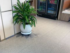 -七欣天香辣蟹火锅(扬州望月路店)