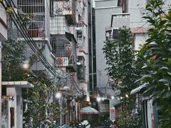 -长洲岛