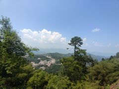 -九华山风景区