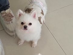 -怪兽屋·羊驼·猫咖·狗咖(俊华广场店)