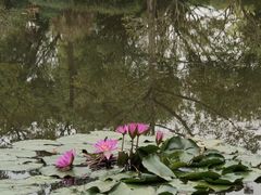 -云溪植物园