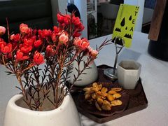 -春树下·树屋花房西餐厅(罍街AS1980店)