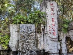 -广州市流溪河国家森林公园