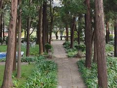 -三塔倒影公园
