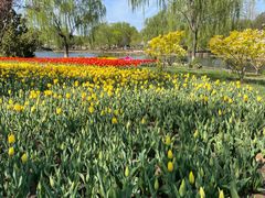 -石家庄市植物园