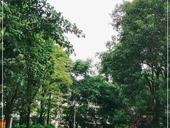 -广东科技学院(南城校区)
