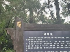 -北陵公园