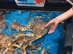 -盒马鲜生(曜一城店)