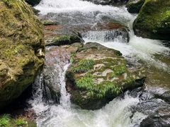 -龙苍沟森林公园